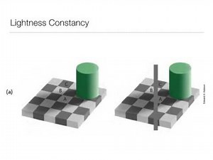 Perception: 5.4 Color and Light Constancy