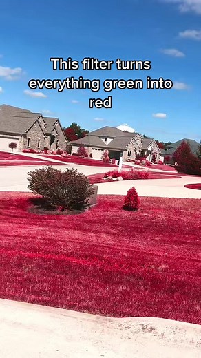 This filter turns everything green into red #green#red#skateboarding
