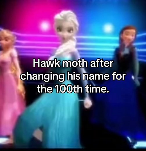 Unleashing the Power of Miraculous Ladybug: Hawk Moth Revealed