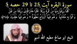 75K views · 3.4K shares | Short Clip Pashto Tarjuma Part 5 سورۃ البقرہ آیت نمبر 25 تا 29 https://youtu.be/VqtyTx1-YHE شیخ ابو صالح مطیع اللہ نسیم https://www.youtube.com/playlist?list=PLQWNAcYPIk1rLIufiQkr0isUx0zpeM4XZ | Afridi Studio آفریدی اسٹوڈیو | Facebook