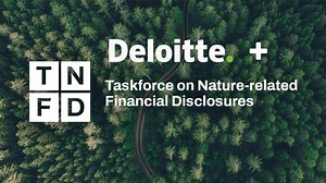 Deloitte lança o painel LEAP para impulsionar a gestão de riscos e impactos relacionados à natureza