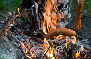 Arszi's Campfire Roasting for Anomaly 1.5.1 addon