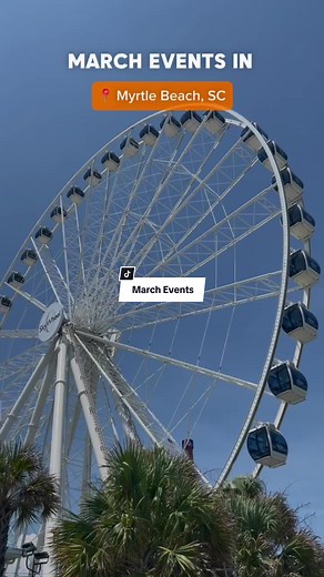 Vacationing in Myrtle Beach in March? Don't miss these must-attend events! From mouthwatering food festivals to lively St. Patrick's Day celebrations, there's something for everyone to enjoy. #visitmyrtlebeach #myrtlebeach #events #myrtlebeachevents #myrtlebeachsc #thingstodo #march #myrtlebeachmarch #springbreak #conwaysc #murrellsinlet #northmyrtlebeach #stpaddysday #theskywheel #thingstodoinmyrtlebeach #vacationactivities #2024events #springbreakmyrtlebeach #green #runtothesunfestival #runtot