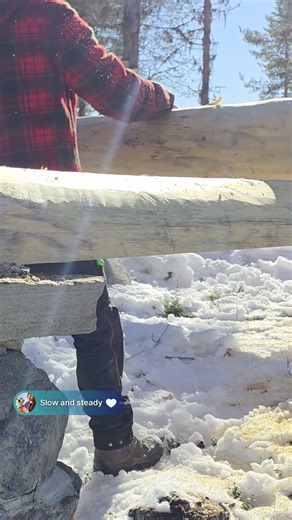 We are Building a Log Sauna 🪵