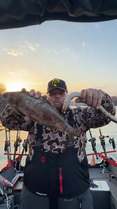 American eel vs gizzard shad | Stephen Hazlife Fultz