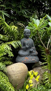 36K views · 635 reactions | Aham always welcomes you @rr_rahulravi | Rahul Ravi | Facebook