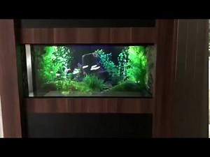 3D Aquarium (Hologram)