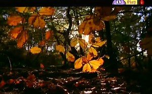 Something Special Mr Tumble Full Episode Seasons