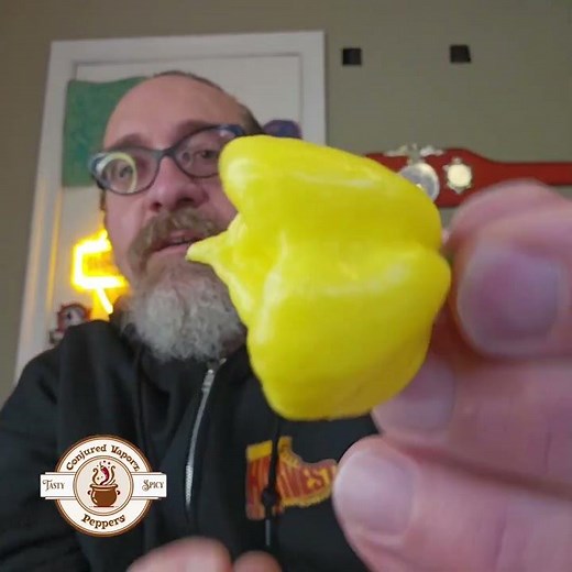 Creamo Pepper Preview: Is This Smooth Heat Hiding Serious Fire?