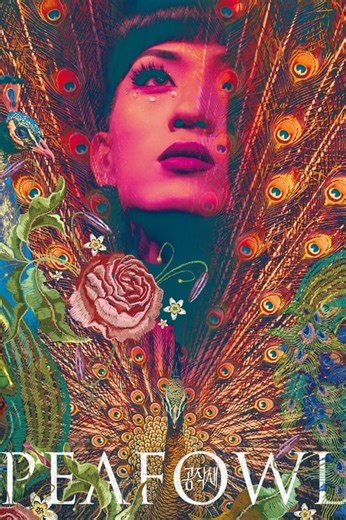 Stream Peafowl (2024): Find it on Netflix, Prime Video, Hulu & more