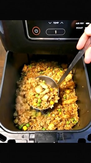 This Air Fryer Fried Rice with Chicken and Veggies is one of my favorite weeknight meals! It is quick & easy to make & the kids love it.I need your opinions please say yummy or something don't break my heart 🥰🥰Recipe in 1st comment | Air Fryer Recipes For Beginners