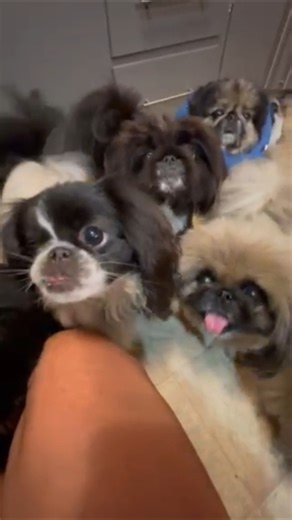 4.8K views · 969 reactions | We, including me, eat green beans right...