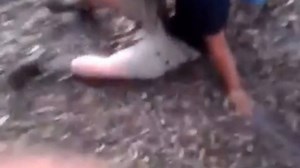 Guy Gets Kicked In The Face By A Horse