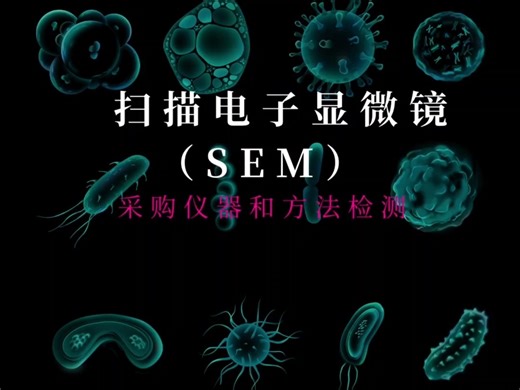扫描电子显微镜SEM 采购仪器和方法检测