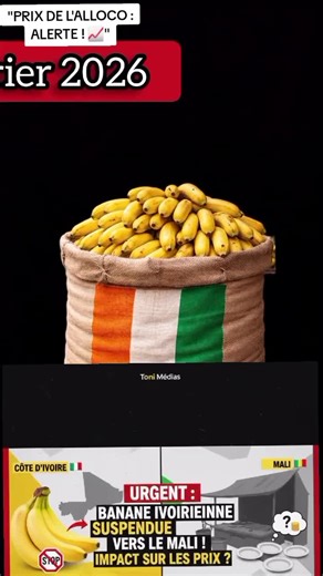 Prix de l'Alloco : Alerte sur l'Augmentation !