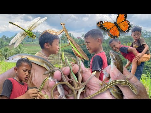 Hunting lizard with kids
