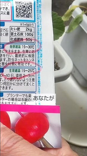 発芽温度と生育温度は野菜を育てるのに とても重要なので具体的に分かりやすく詳しく説明します