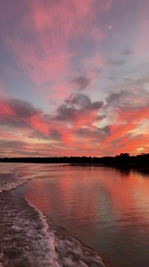 Riley Pierce (@rileyscottpierce)’s videos with Nerves - Merkules