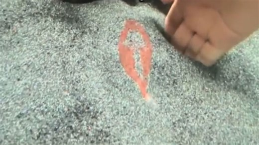 Man scoops a sleeping fish but it moves away to nap again