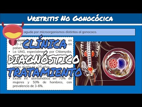 ⚕️🩺 Postgonococcal Urethritis and Nongonococcal Urethritis: Symptoms, Diagnosis and Treatment