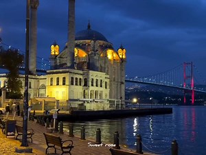 𝑭𝒓𝒊𝒅𝒂𝒚 𝑹𝒆𝒎𝒊𝒏𝒅𝒆𝒓.💗 | Sweet rose