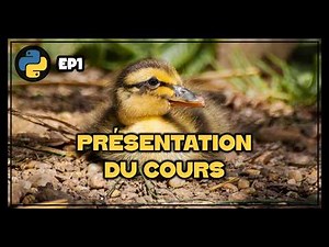 Introduction | Python - EP1