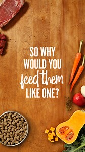 Give them the raw nutrition they deserve. 🥩🥕Nourish their ancestral needs with Primal raw recipes. | Primal Pet Foods