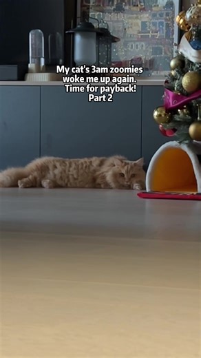 Hilarious Moments from Payback Series Part 2