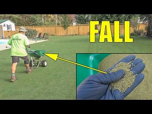 Fall Lawn Preemergent - Heavy Treatment Starts Now