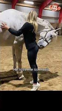 Best horse videos - These Funny And cute 🐴😂🐎....[154]