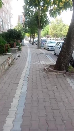 ceno (@ceno8233)’s videos with orijinal ses - ceno