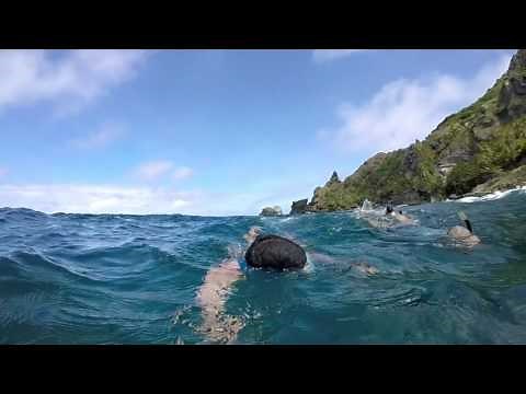 The Bounty wreck snorkel