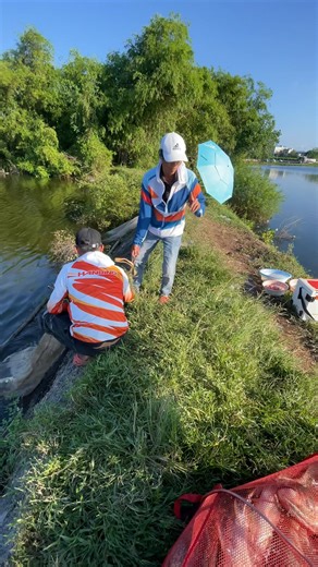 Báo Cá | Vietnam Fishing