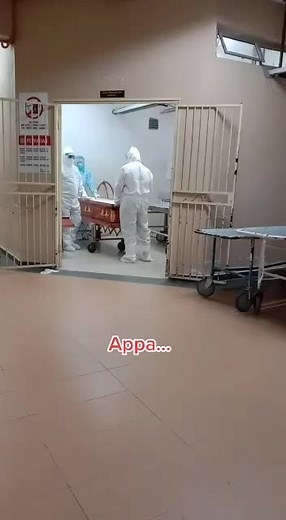 Patient Transport in Hospital: A Close-Up View