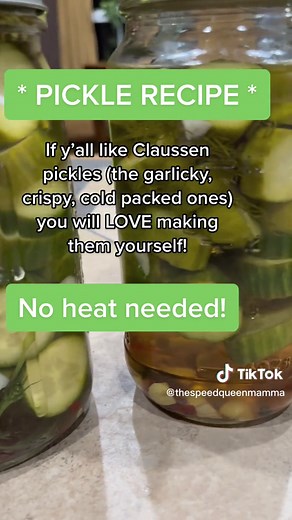 Homemade Garlic Claussen Pickles Recipe