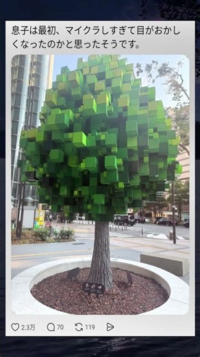 Did I lose my mind from playing too much Minecraft!?