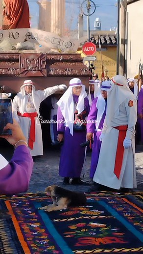 101K views · 2.4K reactions | La Inociencias de los perritos 梁梁梁 | Cucurucho Antigueño | Facebook