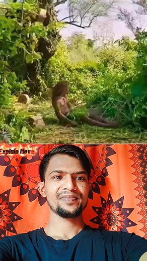 #video #viral #movies #reelsviralシ #moveexplain | Explain Move