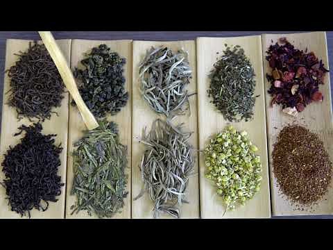 ¿Qué es el té? - Diferencias entre los diferentes tipos de té y otras infusiones.