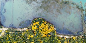 Take A Video Tour Through Stunning Port Austin