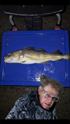 FIRST COD OF THE SEASON 2025! 🤯 Caught This North Sea BEAUTY! #fishing