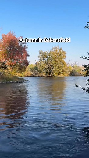 Autumn vibes at Kern River in Hart Park #kernriver #hartpark #bakersfield #kerncounty #california #rivers #autumnvibes | Kaitlyn Alexis