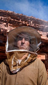 Why are Morocco’s bees disappearing? 🐝🐝🐝 Can animals evolve to deal with climate change? https://bbc.in/37xpUYR | BBC World Service