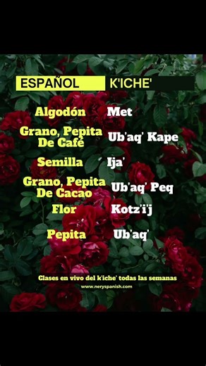 K'iche' language classes, beginner and intermediate levels