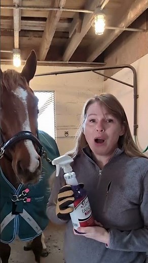 How I Apply Fly Sprays and Horse Grooming Products to Faces