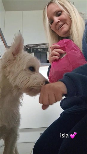 miss isla 💕 my new pig toy love it 💕 happy Saturday besties 💕 @GEOOROOD UK SHOP #isla #fyp♥️ #loveit🥰🙏 #toy #saturdaymood