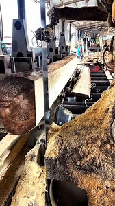 13K views · 42 reactions | "Mastering Wood Cutting: From Tree to Timber!  #WoodCutting #SawmillLife #WoodworkingSkills #TreeToTimber #CarpentryMagic | Wooden skills28 | Facebook