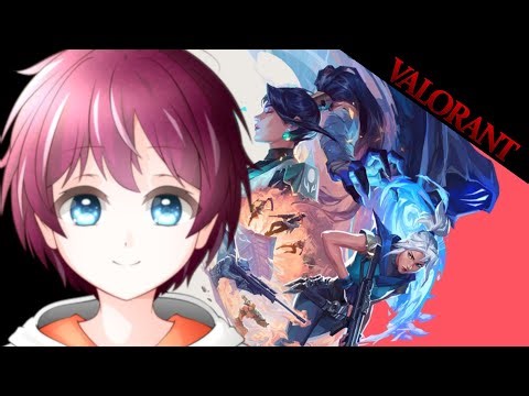 【VALORANT】 清楚ｖｓ変態カスタム！ 【手元配信】
