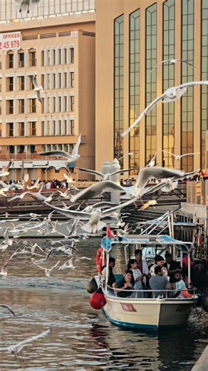 ‏#CapCut #abra #alseef #harbourbridge #dubai