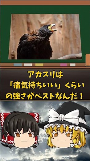 【ゆっくり解説ショート】アカスリと健康#shorts